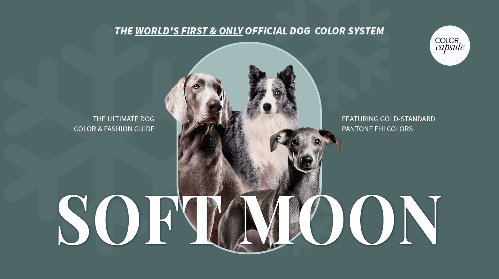 Soft Moon Dog Color Guide Clothes